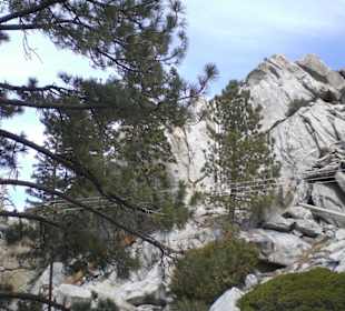 Ausflug Mount Jacinto 