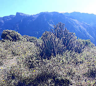 Colca-Canyon