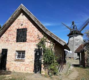 Bockwindmühle Pudagla