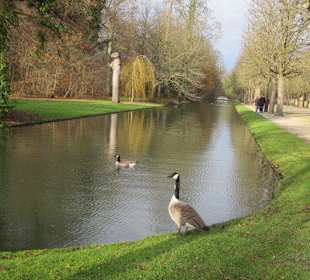 Schlosspark Schwetzingen im Winter