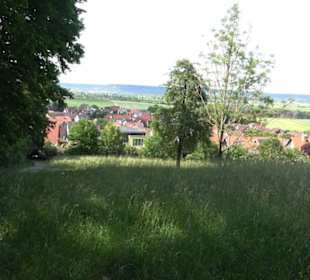 Kreuzweg zum Tannenrain