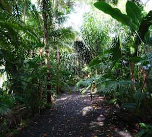 Impressionen vom Jardin des Parfums et des Epices