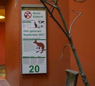 Tierpark Hagenbeck