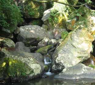 Am kleinen Wasserfall