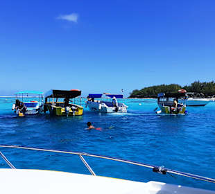 Glasbodenboot Tour Blue Bay