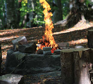 Wandern Tiflis / Tbilisi