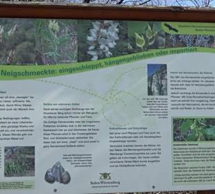 Hirschauer Spitzbergwegle (Premiumspazierwanderweg