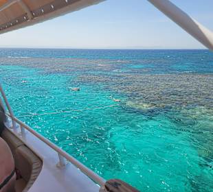 Ein Tag auf der Dreamlife - Delphintour Exklusiv