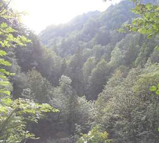 Ausblick