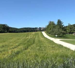 Waldameisen-LehrPfad