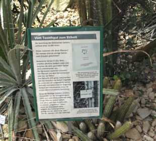 Botanischer Garten