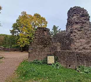 Kurpark Illingen in Illingen