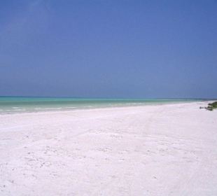 Insel Holbox