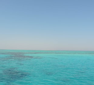 Schöne Riffe in Hotelnähe