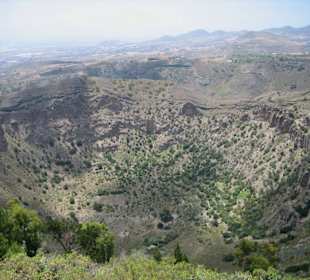 Caldera de Bandama