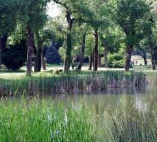 Donaupark 