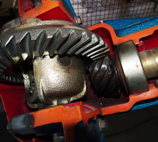 Rundgang durch die Ausstellung