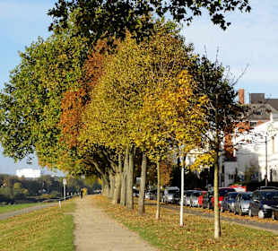 Herbstspaziergang durch das Ostertor-Viertel