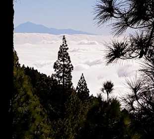 Wandern Los Cancajos