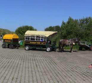 Pferdetaxi am Flugplatz