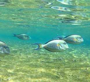 Underwater