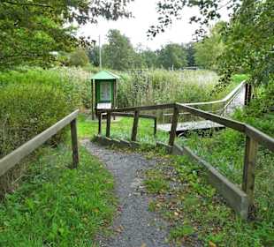 Im Feuchtbiotop des Natureum Niederelbe