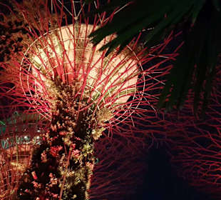 Supertrees Singapur