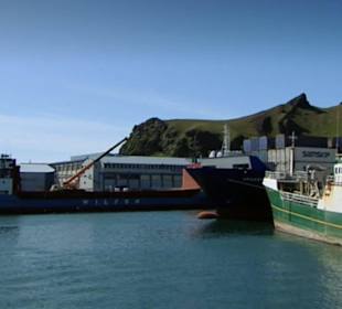 Port Reykjavik