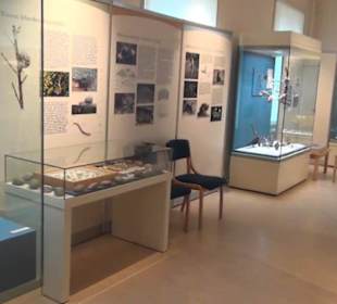 Naturkundemuseum