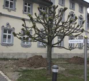 Klosteranlage Obermarchtal