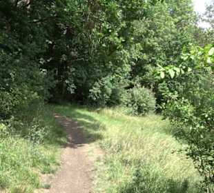 Pfaffenberg
