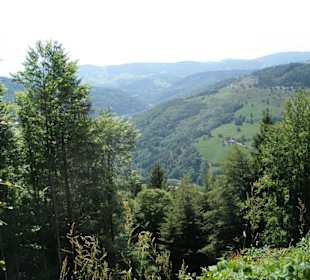 Aussicht vom Hasenhorn