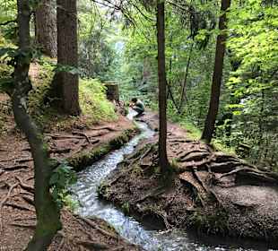 Wandern Flims