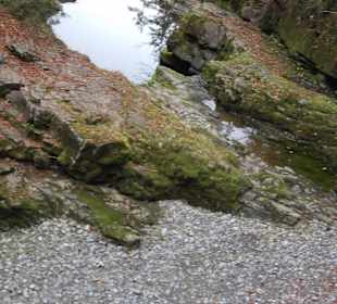 Schwarzwasserbach - ruhig