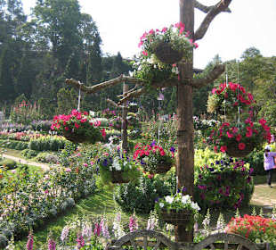 Gartenanlage
