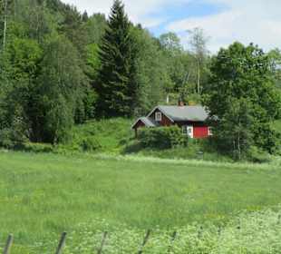  Nationalpark Jostedalsbreen