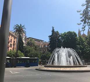 Stadtrundfahrt Palma