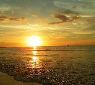 Mit dem Shuttle ging es zum White Sand Beach