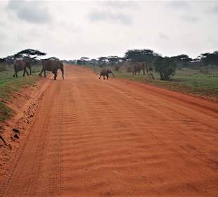 Tsavo Ost Nationalpark