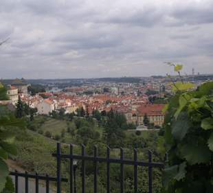 Aussicht vom Kloster