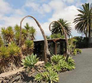 Museo Agricola el Patio