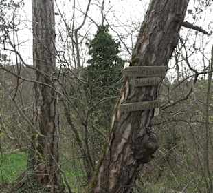 Wanderung rund um das Rusenschloss Gerhausen