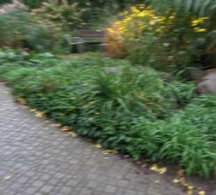 Sprudel- und Quellgarten 