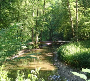 Auf dem Wanderweg zur Burg Eltz