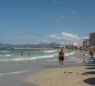 Plaża Ca'n Picafort z widokiem na port