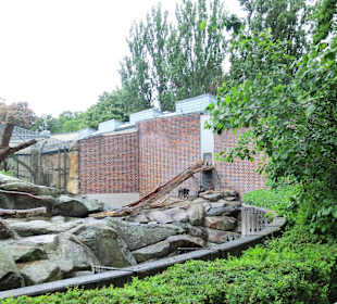 Außengehege der Mandrills