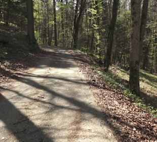 Waldlehrpfad an der Lauter