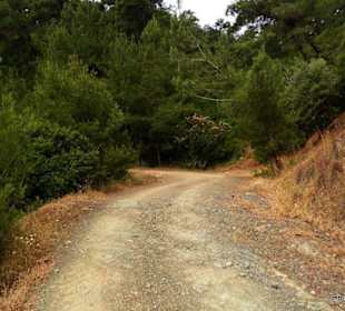 Schön geführte bequeme Wege