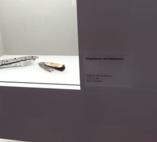 Museum für Vor- und Frühgeschichte