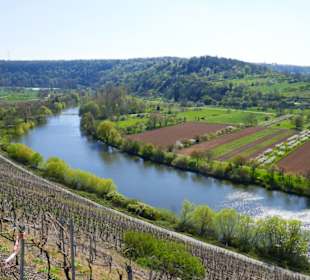 Links und rechts Weinberge